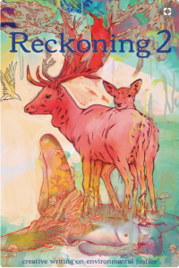 Cover of Reckoning 2