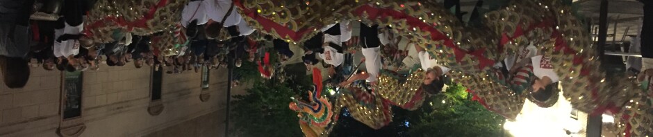 photo of dragon parade
