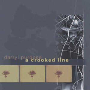 DarrylPurposeACrookedLineCover