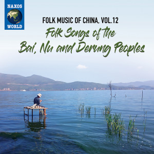 FolkMusicOfChinaVol12