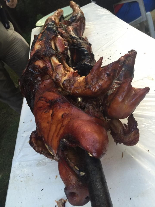 Jennifer Stevenson's pig roast 2016 photog ZombiLena