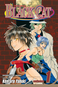 cover art for Black Cat