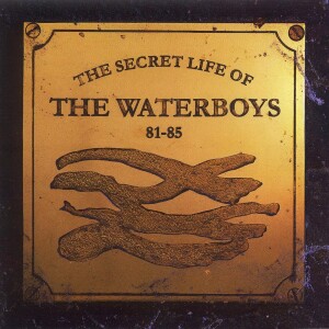 cover art for The Secret Life of The Waterboys 81-85