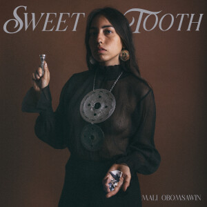 cover art for Sweet Tooth