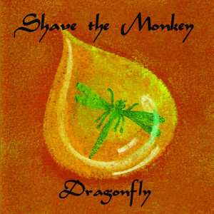 cover art for Dragonfly