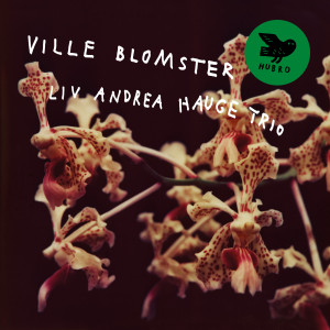 cover, Ville Blomster (wild flowers)