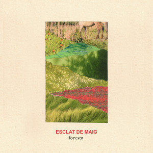 cover, Esclat de Maig