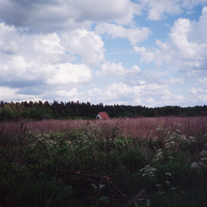 cover, Sung