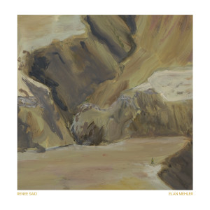 cover, Renee Said